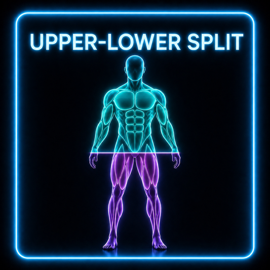 Upper Lower Program